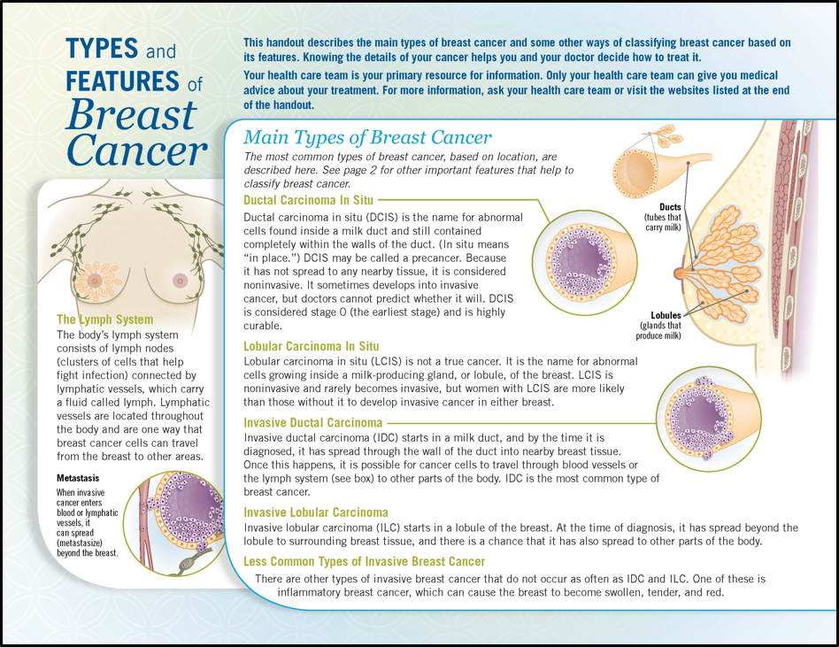 Breast Cancer Stage & Type: The Breast Cancer School for Patients