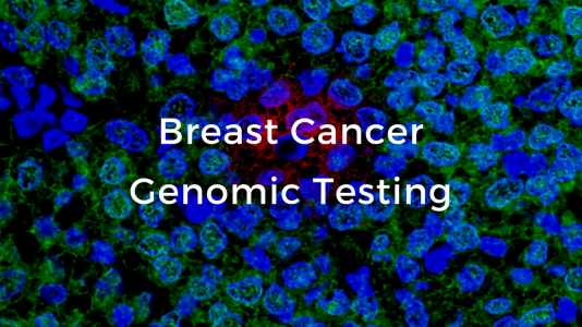 Cutting Edge Advances Video Course: The Breast Cancer School for Patients